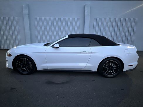 Used 2019 Ford Mustang Premium image 4