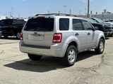 Used 2008 Ford Escape XLT image 5