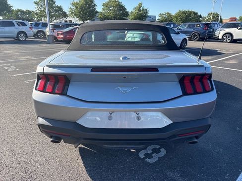 Used 2024 Ford Mustang Premium RWD image 7