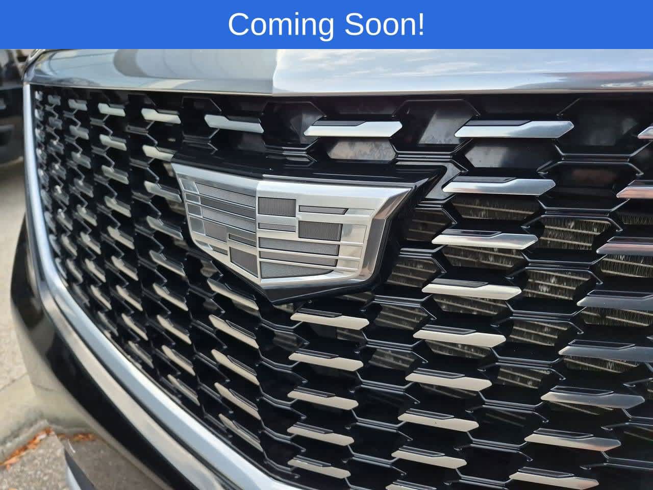 Used 2024 Cadillac XT5 Premium Luxury AWD/4WD image 11