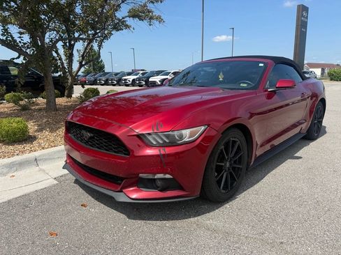 Used 2017 Ford Mustang Premium RWD image 1