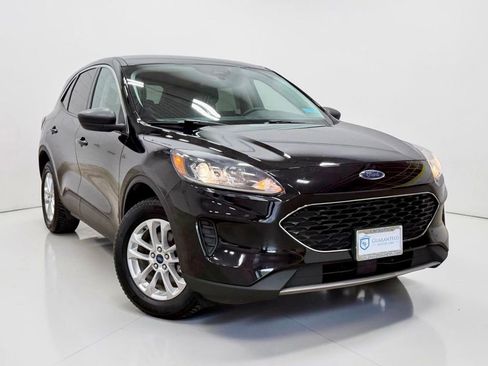 Used 2022 Ford Escape SE AWD/4WD image 4