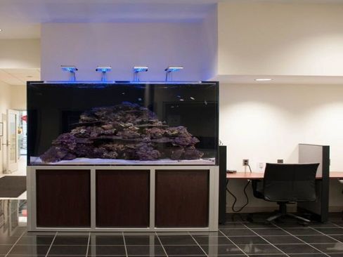 Used 2025 Ford F150 Lariat image 15