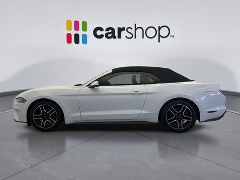 Used 2019 Ford Mustang Premium RWD image 2