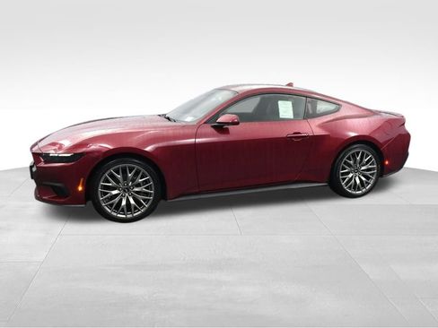 New 2025 Ford Mustang Premium image 5