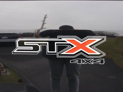 Used 2019 Ford F150 XL w/ Equipment Group 101A Mid image 8