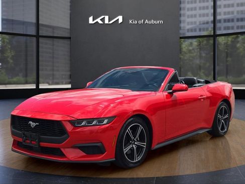 Used 2024 Ford Mustang Premium image 2