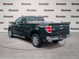 Used 2014 Ford F150 XLT w/ Equipment Group 302A Luxury image 3