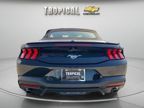 Used 2024 Ford Mustang Premium RWD image 4