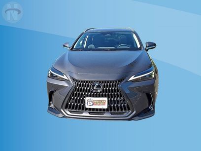 Used 2024 Lexus NX 350 AWD w/ Cold Area Package