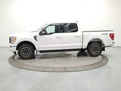 Used 2023 Ford F150 XLT w/ Equipment Group 302A High