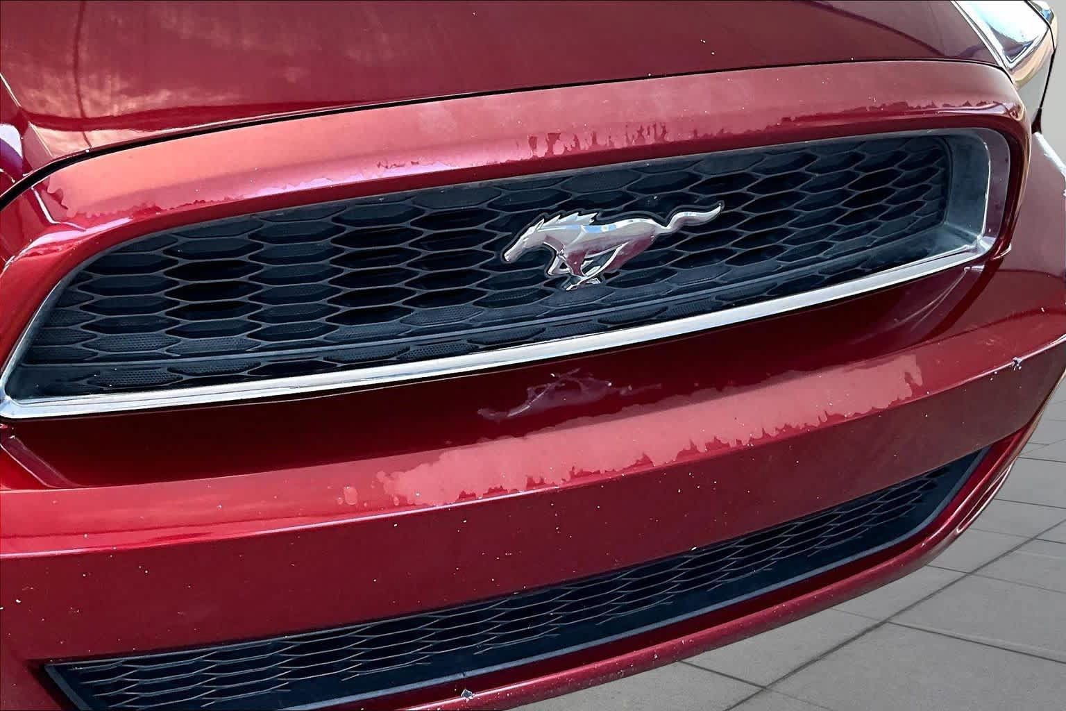 Used 2014 Ford Mustang Coupe w/ Equipment Group 102A RWD image 29