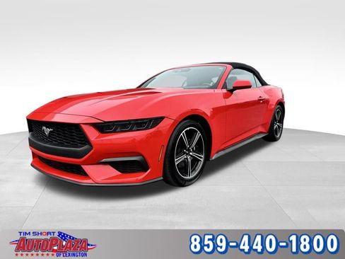 Used 2025 Ford Mustang Premium RWD image 14
