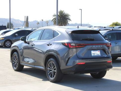 Certified 2025 Lexus NX 350h AWD w/ Cold Area Package image 19