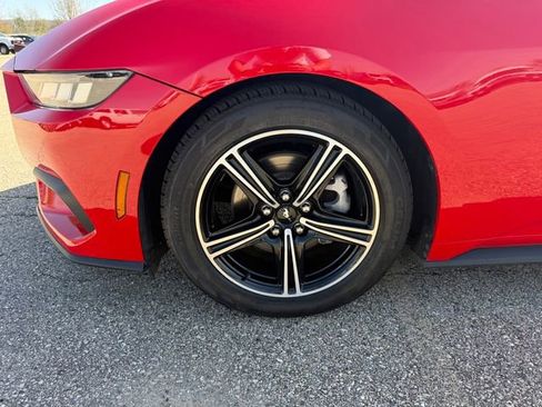 Used 2019 Ford Mustang Premium w/ Equipment Group 201A RWD image 9
