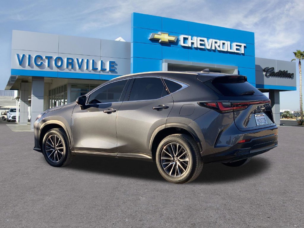 Used 2025 Lexus NX 250 AWD w/ Cold Area Package image 6