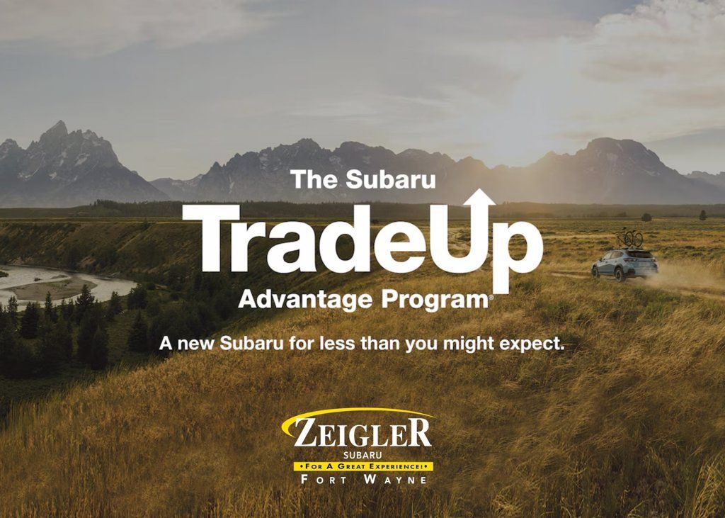 Used 2024 Subaru Forester Wilderness AWD/4WD image 4