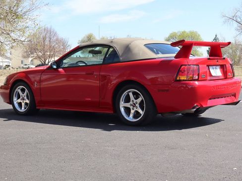 Used 1999 Ford Mustang Cobra image 7