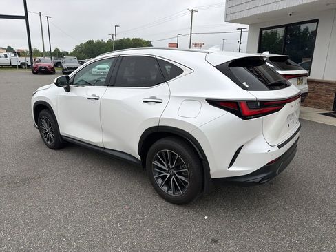 Used 2024 Lexus NX 250 FWD w/ Cold Area Package image 6