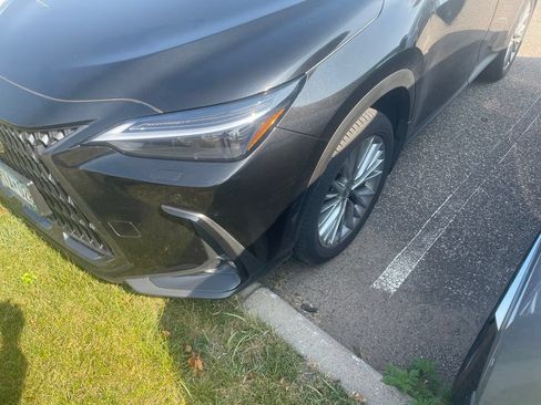 Used 2025 Lexus NX 350h AWD w/ Accessory Package (2T) image 3