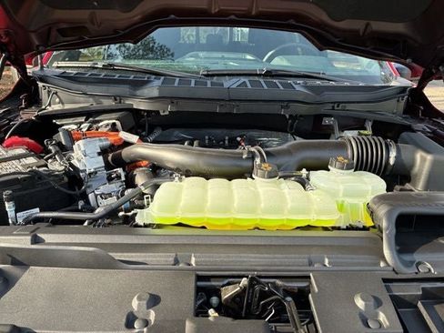 New 2025 Ford F150 XLT w/ Equipment Group 302A MID image 19