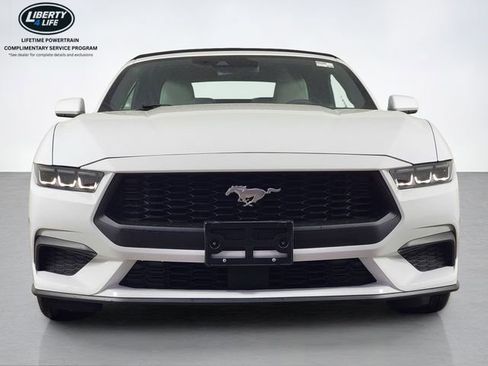 Certified 2024 Ford Mustang Premium RWD image 8