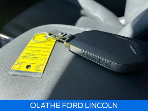 Used 2025 Kia Carnival SX Prestige image 10