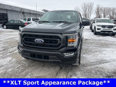 Used 2023 Ford F150 XLT w/ Equipment Group 302A High image 3