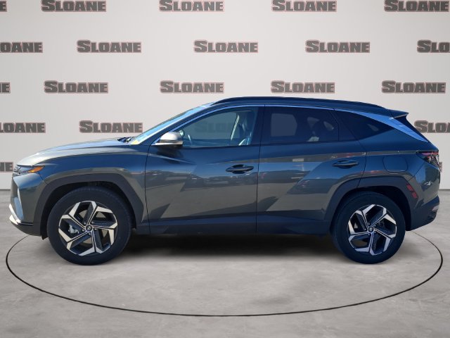 Used 2024 Hyundai Tucson Limited AWD/4WD image 2