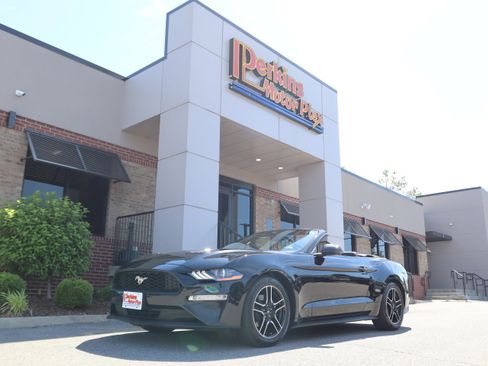 Used 2018 Ford Mustang Premium w/ Equipment Group 201A RWD image 34