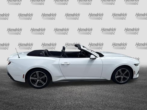 Used 2024 Ford Mustang Premium RWD image 10