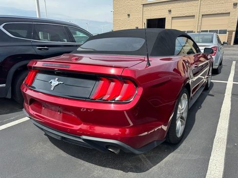 Used 2018 Ford Mustang Premium w/ Equipment Group 201A RWD image 2