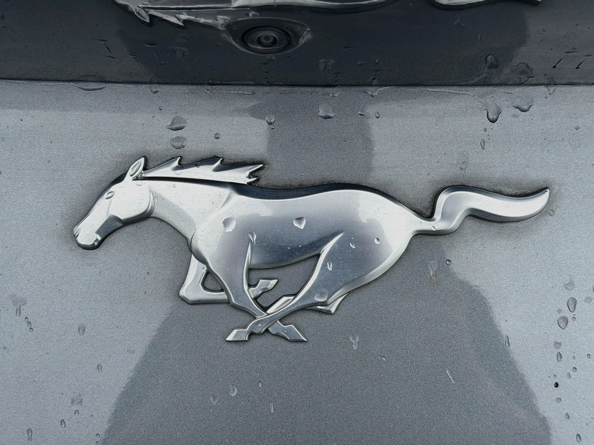 Used 2024 Ford Mustang Coupe RWD image 11