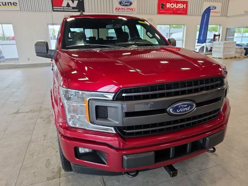 Used 2019 Ford F150 XLT w/ Equipment Group 302A Luxury AWD/4WD image 4