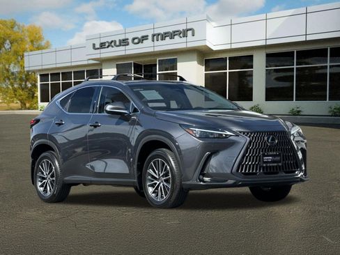 Used 2025 Lexus NX 350h AWD w/ Cold Area Package image 7