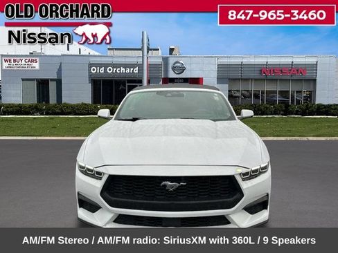 Used 2024 Ford Mustang Premium RWD image 2