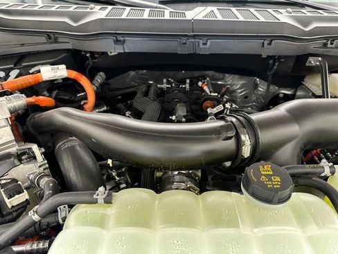 New 2025 Ford F150 XLT w/ Equipment Group 301A Standard image 43