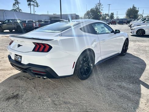 New 2026 Ford Mustang EcoBoost w/ Mustang Nite Pony Package image 5
