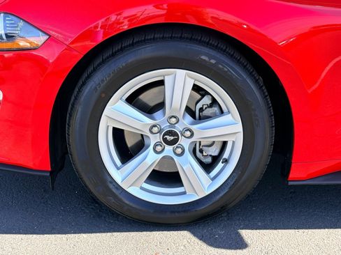 Used 2019 Ford Mustang Coupe image 11