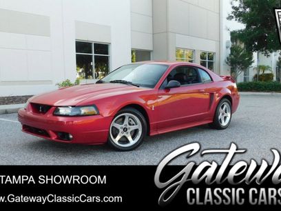 Used 2001 Ford Mustang Cobra