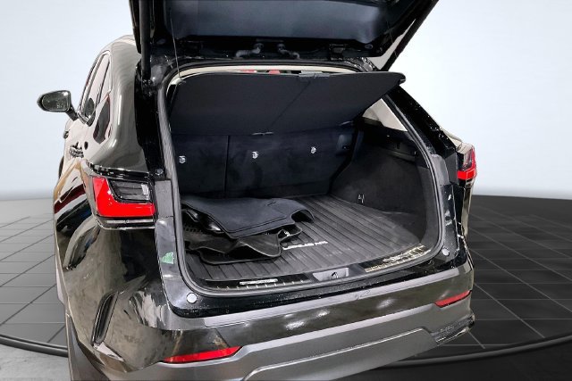 Used 2024 Lexus NX 250 FWD w/ Cold Area Package image 5