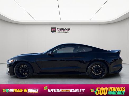 Used 2016 Ford Mustang Shelby GT350 w/ Technology Package image 6