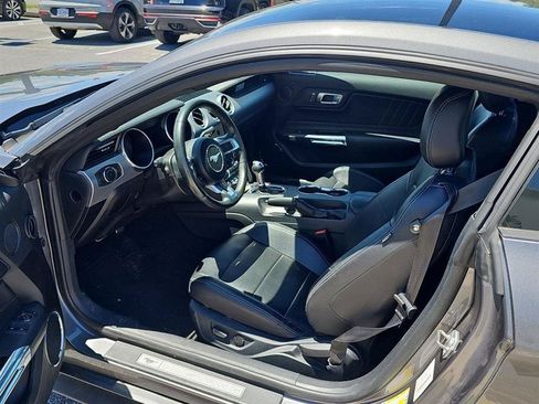 Used 2023 Ford Mustang Premium w/ Mustang Nite Pony Package RWD image 7