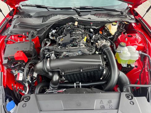 New 2026 Ford Mustang Coupe w/ Mustang Nite Pony Package RWD image 20