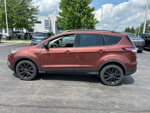 Used 2018 Ford Escape SE w/ SE Sport Appearance Package AWD/4WD image 6