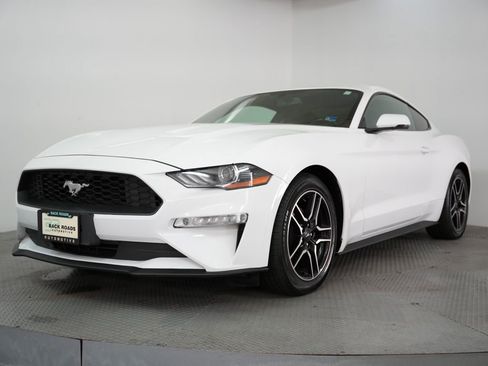 Used 2019 Ford Mustang Premium RWD image 3