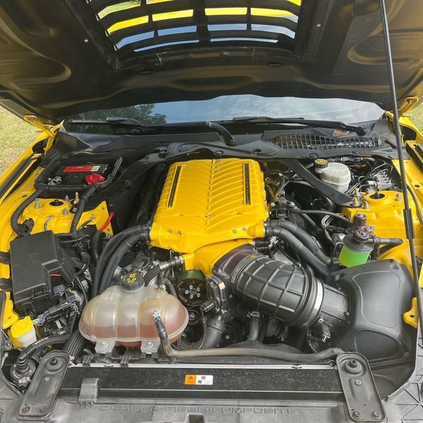 Used 2018 Ford Mustang Shelby GT350 w/ Convenience Package RWD image 24