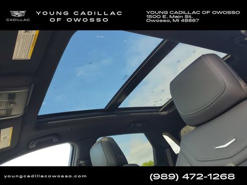 Used 2024 Cadillac XT5 Premium Luxury AWD/4WD image 8