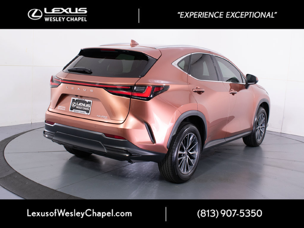 Used 2025 Lexus NX 250 FWD w/ Accessory Package (2T) image 4
