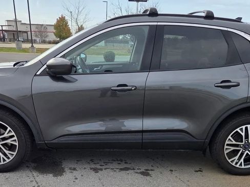 Used 2020 Ford Escape SEL image 5